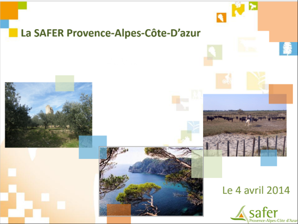 Copie d'écran base Géodil Safer